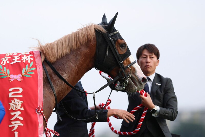 【京王杯2歳S】ルメール「福永厩舎のおかげでベストコンディションでした」ダイヤモンドノットが重賞初制覇