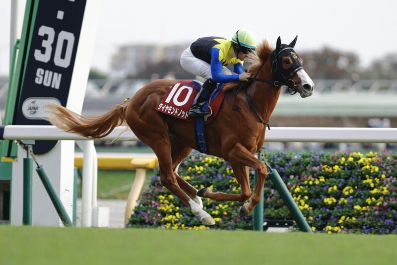 3億円飛び出す…WIN5は1票的中