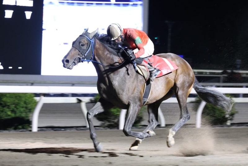 【高知競馬】別府真司調教師が地方通算2500勝達成