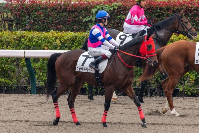 ロイヤルアデレードがデビュー戦で3着“ロイヤル”の名に恥じぬ末脚を披露…日曜劇場で話題