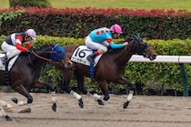 【東京2R】単勝1.4倍サンラザールが人気に応える