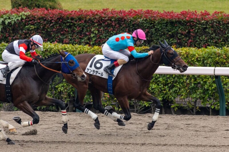 【東京2R】単勝1.4倍サンラザールが人気に応える