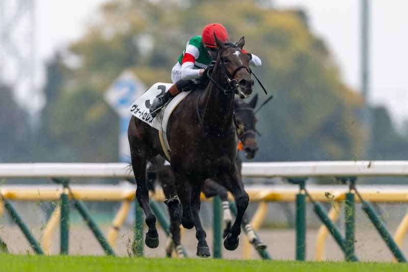 【新馬/東京5R】コントレイル産駒 ヴォートセレストがデビューV