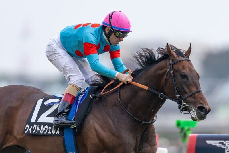 【イクイノックスM】断然人気ウィクトルウェルスが快勝…ルメールは本日3勝目