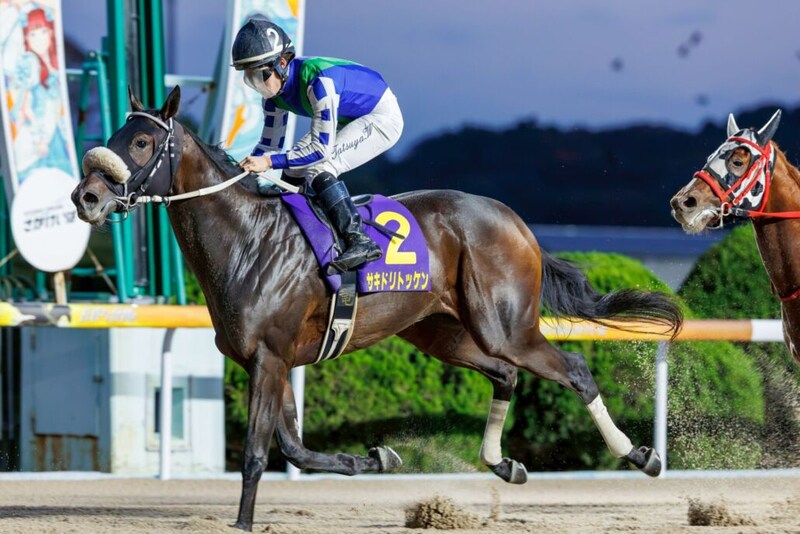 【佐賀・カペラ賞】牝馬サキドリトッケン堂々の差し切り…初距離も難なくクリア