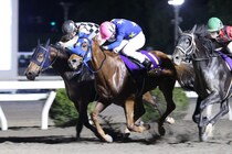 【高知・黒潮マイルCS】老いてなお強し！11歳馬グッドヒューマーが快勝