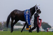 WIN5は554万円超の払戻し…アルゼンチン共和国杯は伏兵ミステリーウェイがV