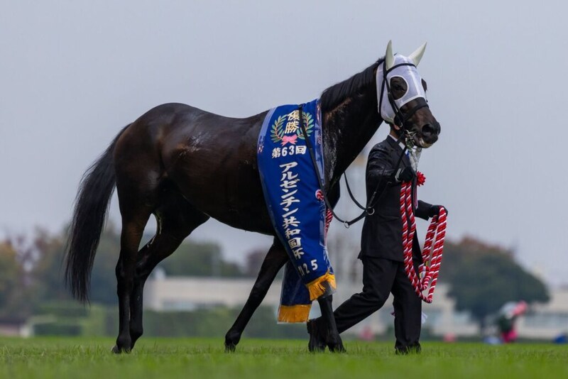 WIN5は554万円超の払戻し…アルゼンチン共和国杯は伏兵ミステリーウェイがV