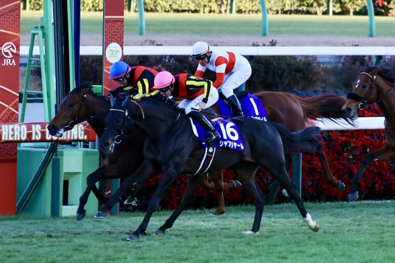 【エリザベス女王杯登録馬】グランプリホース・レガレイラなど19頭