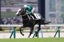 【デイリー杯2歳S登録馬】キャンディードなど12頭