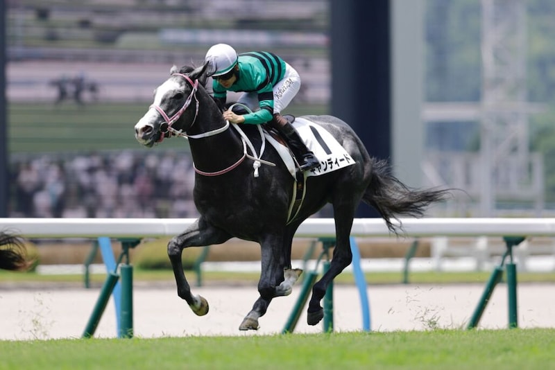 【デイリー杯2歳S登録馬】キャンディードなど12頭