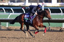 【ジャパンカップ】アイルランド＆フランスから4頭が正式参戦へ