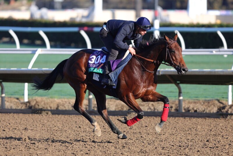【ジャパンカップ】アイルランド＆フランスから4頭が正式参戦へ