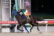 【大井・ハイセイコー記念】入場者・売得金とも前年比プラスと好調