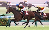 【エリザベス女王杯】レガレイラは482kg…出走馬の調教後の馬体重