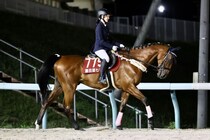 【ホッカイドウ競馬】門別競馬場の年間入場者数が史上最多に…開場以来の新記録を更新