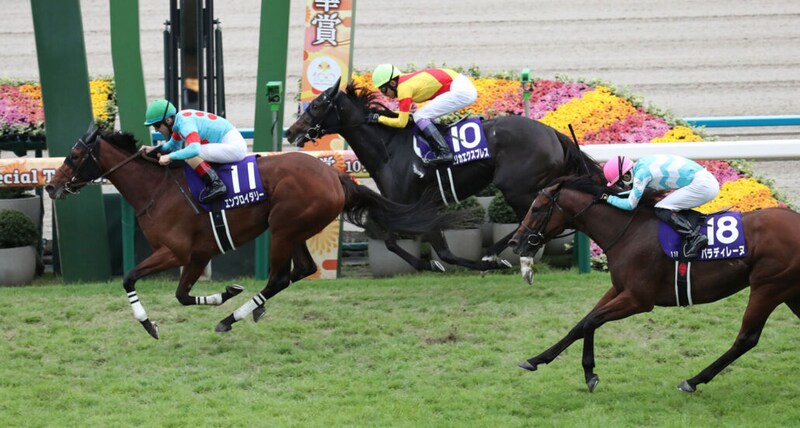 武豊騎手 今週の騎乗馬…エリザベス女王杯はエリカエクスプレスとのコンビ