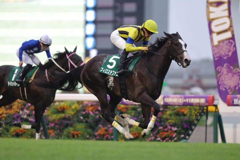 アルテミスS勝ちのフィロステファニが競走馬登録を抹消…今後は社台ファームで繁殖入り