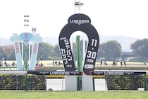 【武蔵野S】1番人気コスタノヴァが大出遅れも2着…勝利したのは3歳馬ルクソールカフェ