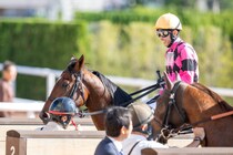 【京都2R】武豊スマートジュリアスが断然の支持に応える