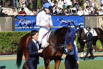 【新馬/東京6R】シスキン産駒 マスターソアラがデビューV…上がり32.8の末脚が炸裂