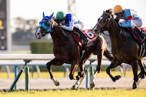 WIN5は1200万円超の払戻し…デイリー杯はアドマイヤクワッズがV