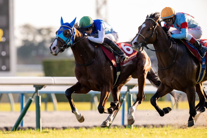 WIN5は1200万円超の払戻し…デイリー杯はアドマイヤクワッズがV