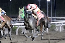 【高知・土佐寒蘭特別】7番人気ピースドライブが豪快差し切りV…6戦目で準重賞初制覇