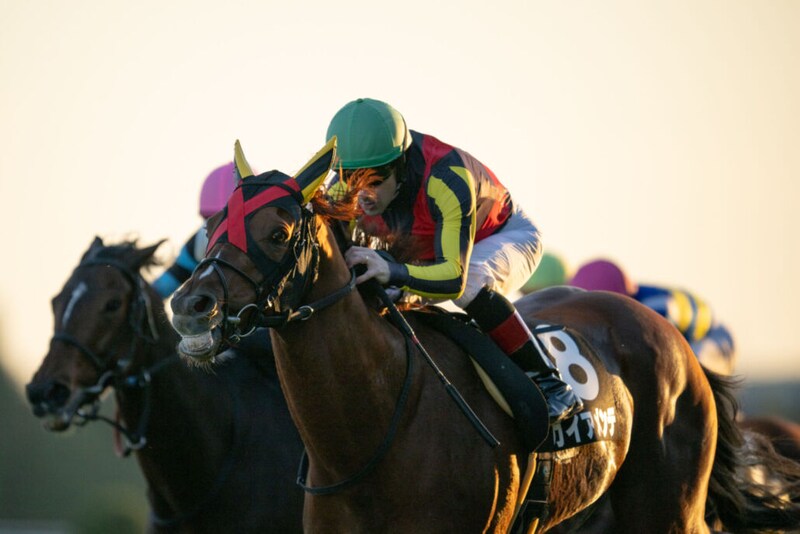 【ドンカスターC 】C.ルメール騎乗 ガイアメンテが人気に応える