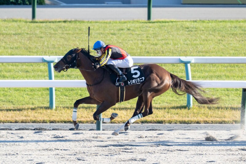 【天橋立S】C.デムーロが本日の4勝目…トリポリタニアで人気に応える