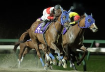 【盛岡・絆カップ】ウラヤが横綱相撲で連覇達成…人気に応えて差し切りV