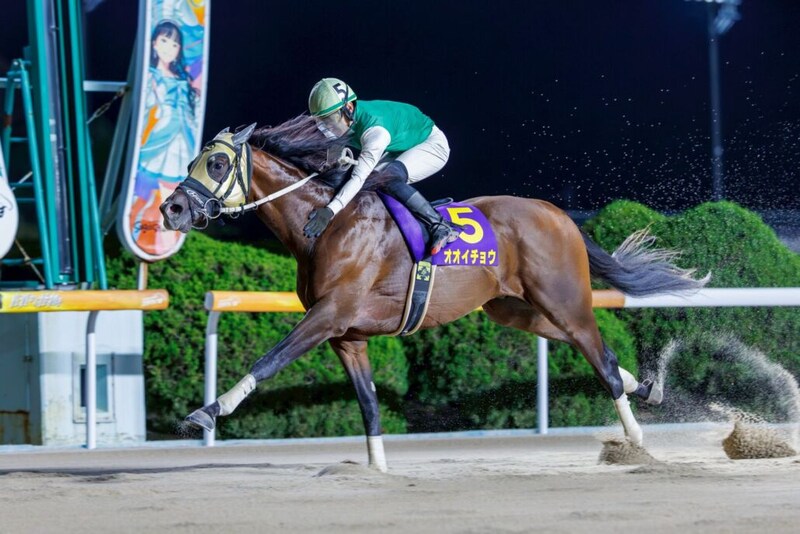 【佐賀・ウインターチャンピオン】オオイチョウが3馬身差の完勝で重賞制覇