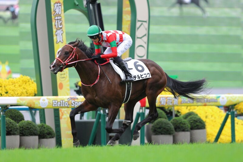 【東スポ杯2歳S登録馬】GLAY・TERU命名で話題のテルヒコウなど15頭