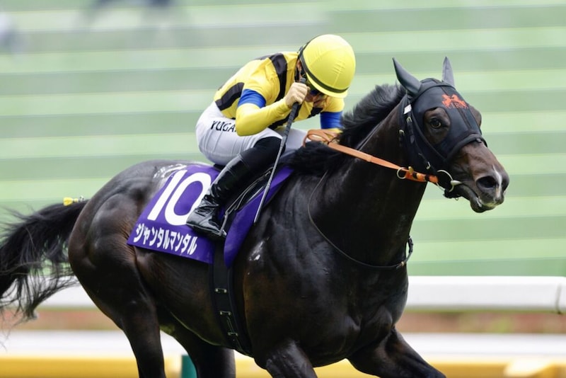 【マイルCS登録馬】ジャンタルマンタルなど22頭…外国からも一頭参戦
