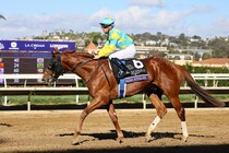 【浦和記念】デルマソトガケなどJRA馬4頭