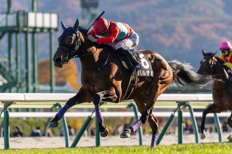 【高湯温泉特別】8番人気の伏兵バルナバが差し切る