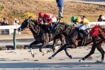 【福島放送賞】ルージュアズライトが抜け出す…断然人気シュヴァルボヌールは3着