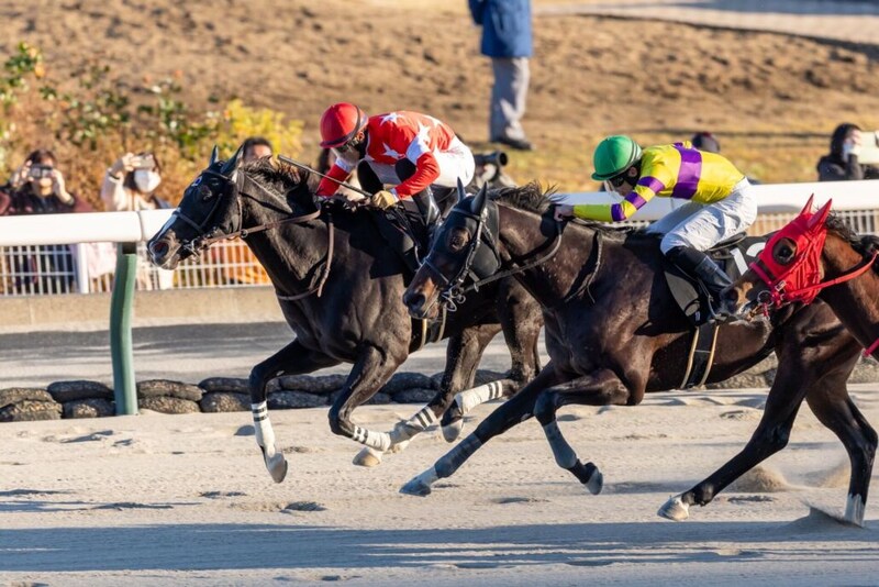 【福島放送賞】ルージュアズライトが抜け出す…断然人気シュヴァルボヌールは3着