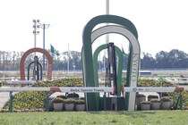 【マイルCS】英ドックランズ最終調整を無事消化