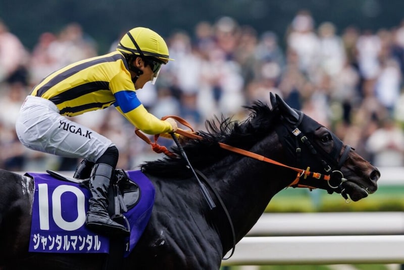 【マイルCS】ジャンタルマンタルは7枠15番…英ドックランズは16番枠