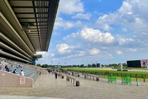 【霜月S】安定感抜群！ウェイワードアクトが人気に応える