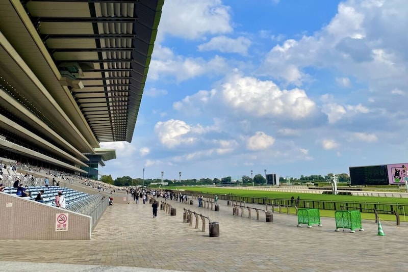 【霜月S】安定感抜群！ウェイワードアクトが人気に応える