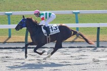 【京都2R】アドマイヤマーズ産駒 クラックショットが6馬身差圧勝