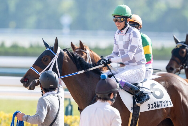 【新馬/京都4R】武豊「素直な馬」シュネルアンジュがデビューV