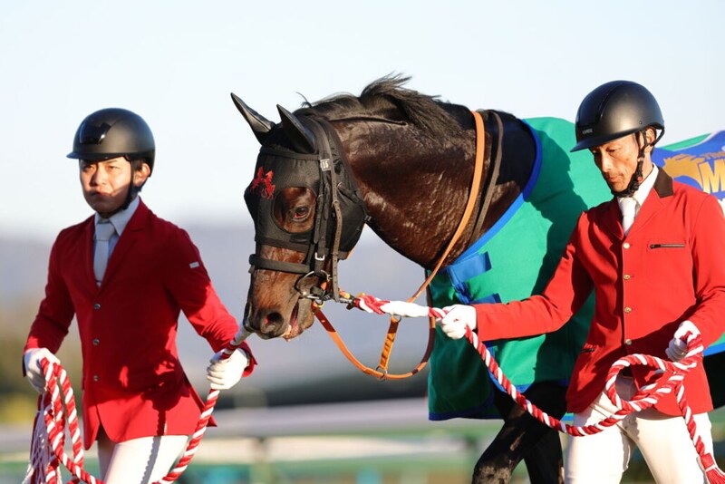 WIN5は2575票的中の払戻し…マイルCSはジャンタルマンタルがV