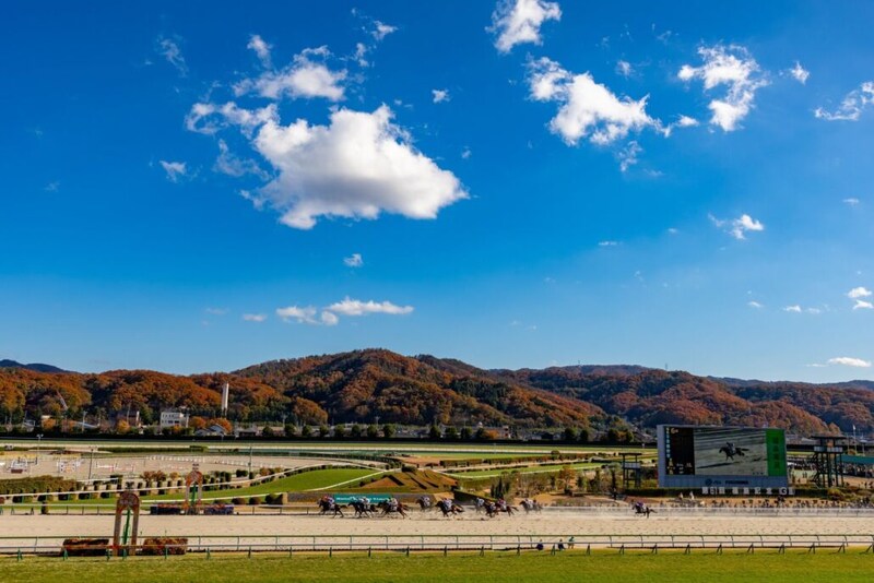 第3回福島競馬リーディングジョッキーは、荻野極騎手