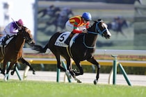 【新馬/東京7R】モーリス産駒 カフェラバーが快勝…断然人気ペアレンツギフトは2着