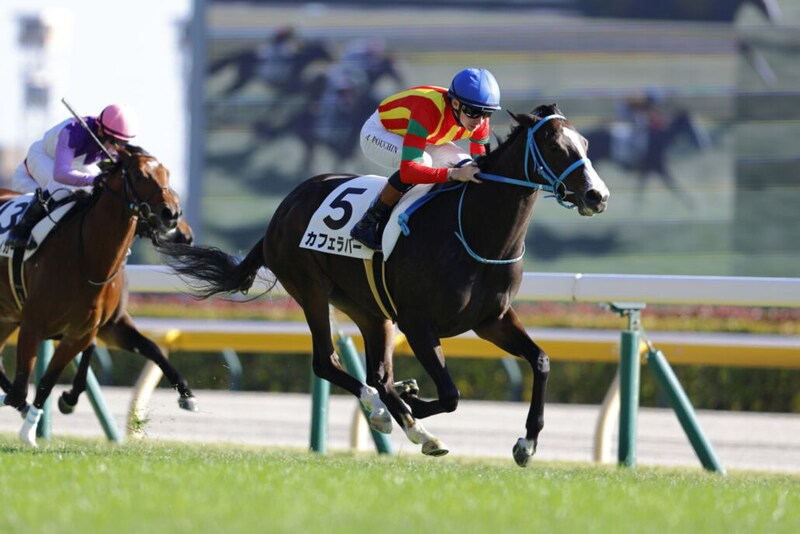 【新馬/東京7R】モーリス産駒 カフェラバーが快勝…断然人気ペアレンツギフトは2着