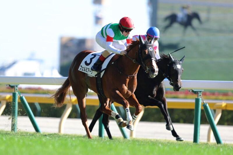 【新馬/東京6R】単勝1.5倍フェルミアークがデビューV