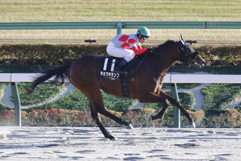【晩秋S】キョウキランブが5馬身差圧勝…単勝1.3倍シャンパンポップは2着